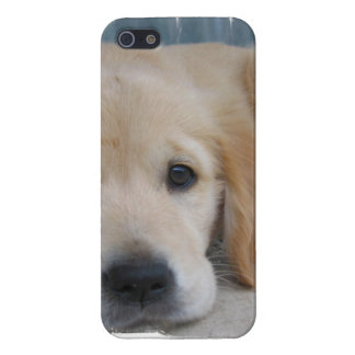 Golden Retriever iPhone Cases & Covers | Zazzle