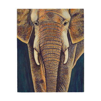 African Elephant Art & Framed Artwork | Zazzle