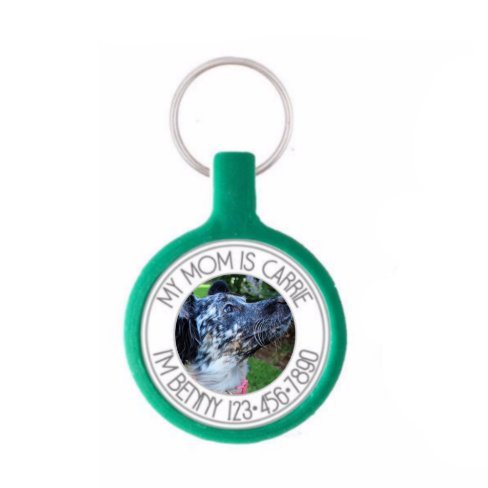 Silent & Eco-Friendly Personalized Pet ID Tag | Zazzle.com