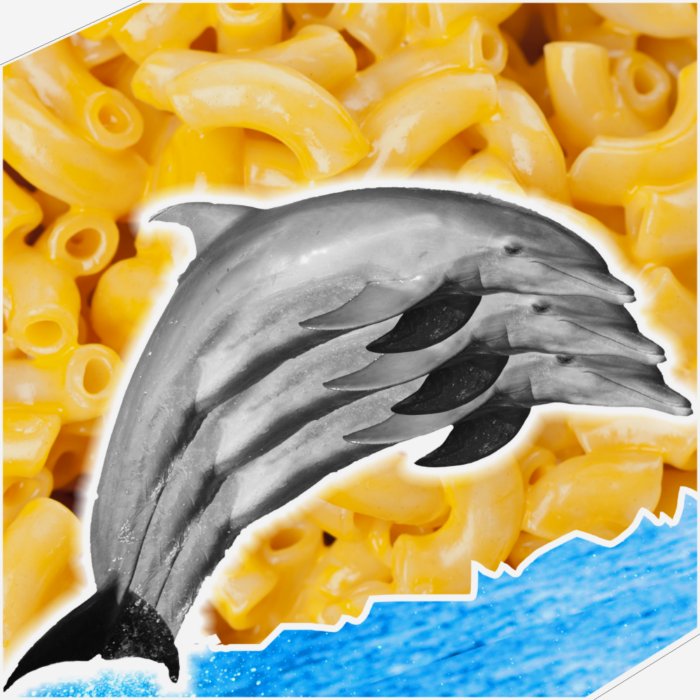 DOLPHIN MACARONI AND CHEESE