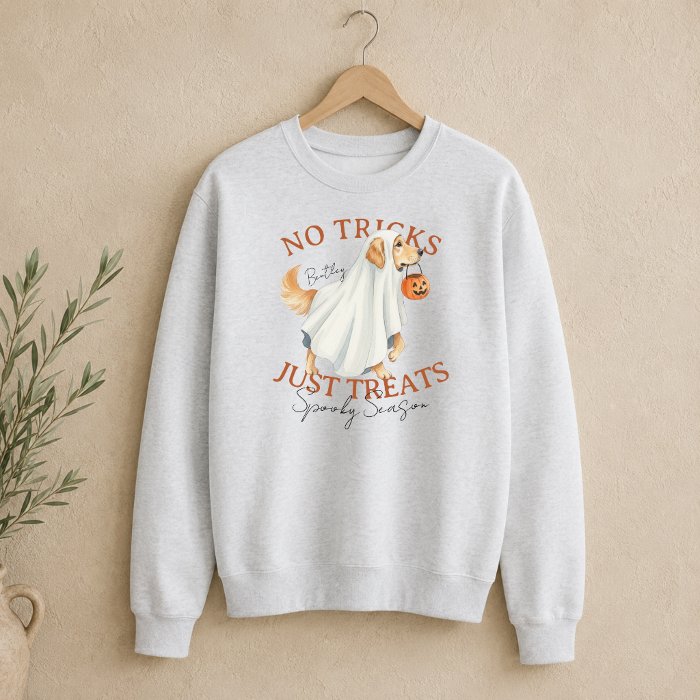 A sweatshirt