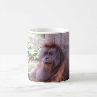 St Louis Zoo Gifts on Zazzle