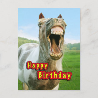 Horse Birthday Cards | Zazzle