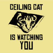 Ceiling Cat is Watching YOU! T-Shirt | Zazzle