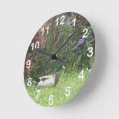 Male Mallard Duck Wall Clock (Angle)