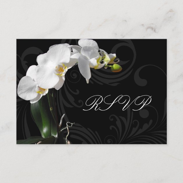Dramatic Black and White Orchid Matching RSVP