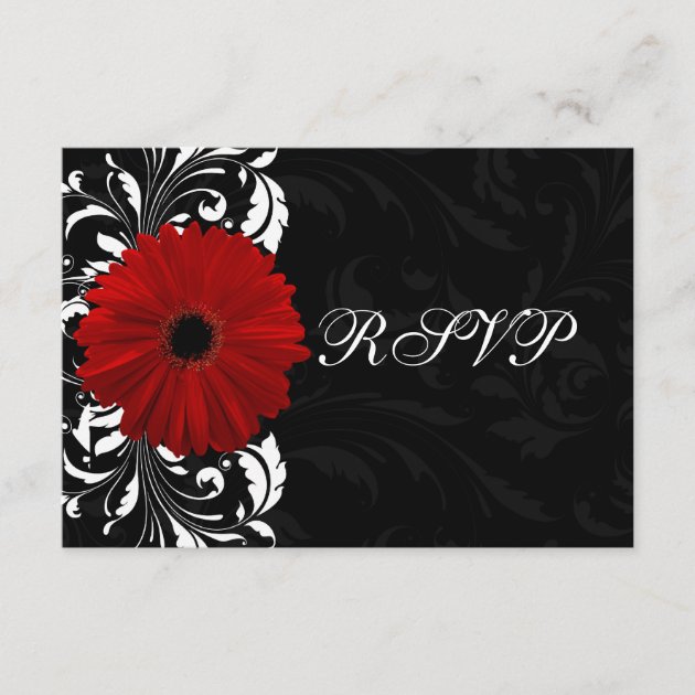 Red, Black and White Scroll Gerbera Daisy RSVP