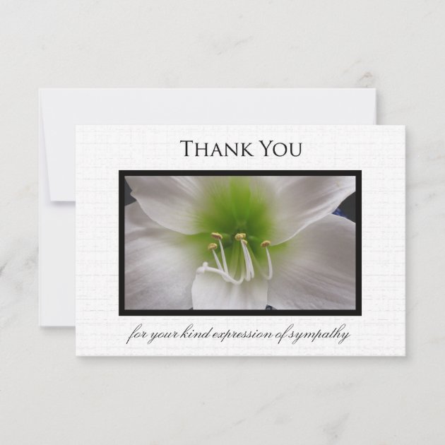 Sympathy Thank You Flat Card - Amaryllis
