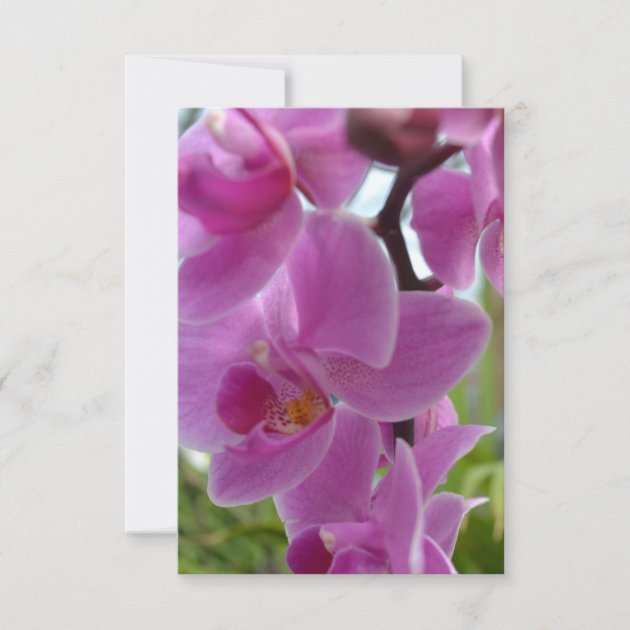 Pink Orchid R.S.V.P. RSVP Card