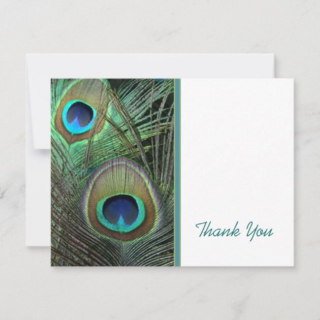 Proud Peacock Thank You Card