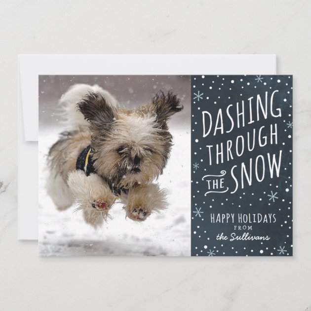 Dashing Through the Snow Holiday Pet Card