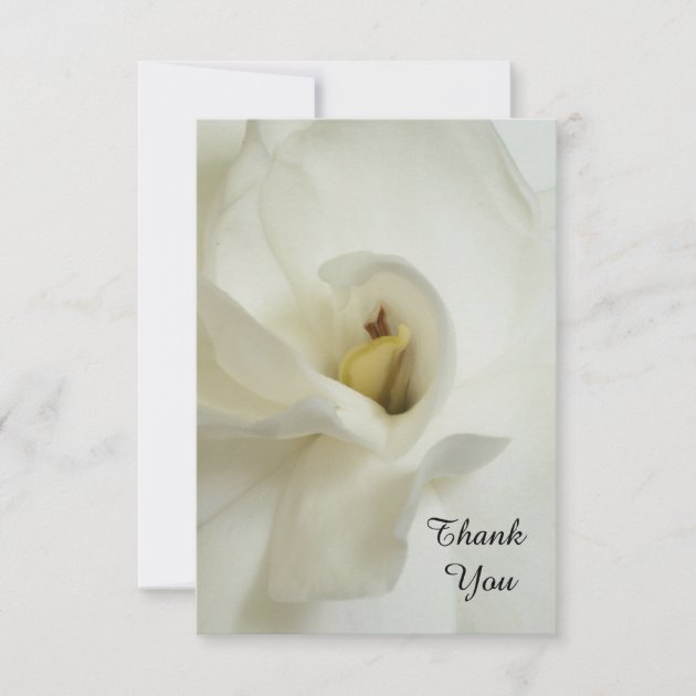 Sympathy Thank You Flat Card - Gardenia