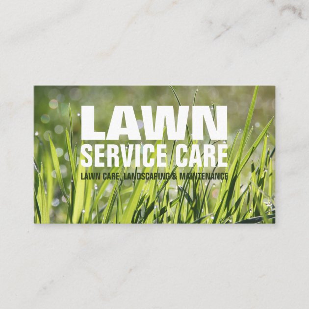 Lawn Care & Landscaping Business Card