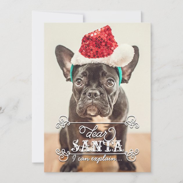 Dear Santa We Can Explain Holidays Photo Cards (front side)