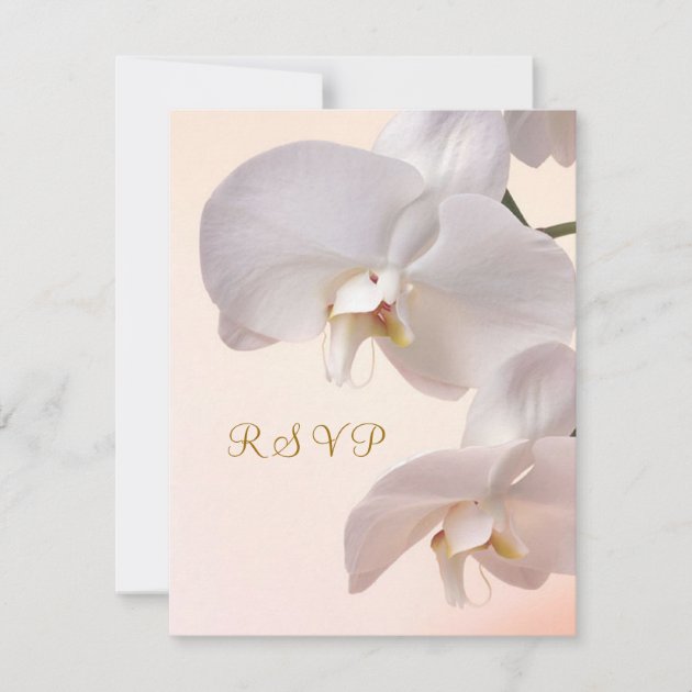 White - cream Orchids Invitation reply. RSVP