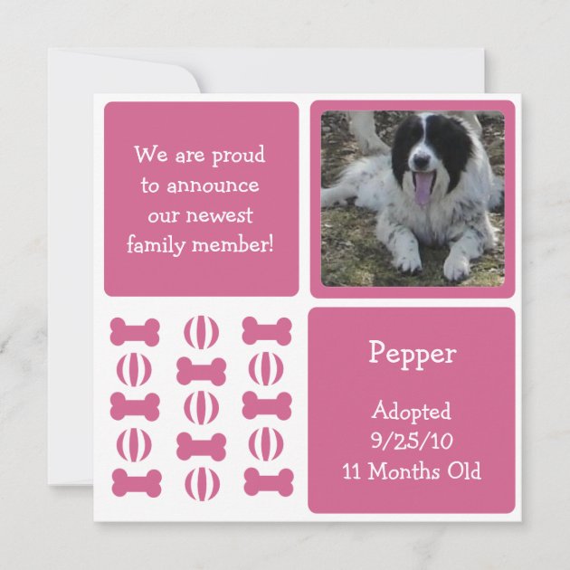 Pink Female Dog Pet Announcement Photo Cards
