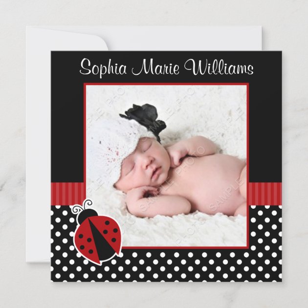 Red Black Ladybug Photo Birth Announcement (front side)