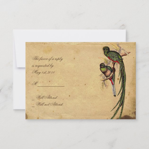Vintage Quetzal Bird Elegant Response card