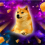 bread - doge - shibe - space - wow doge square sticker | Zazzle.com