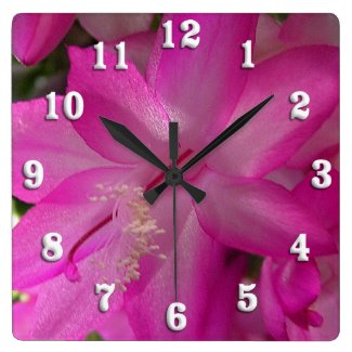Hot Pink Cactus Flowers Wall Clocks