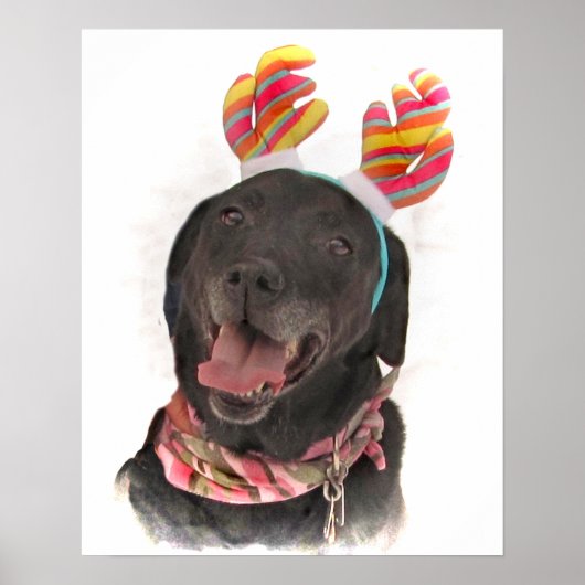 Happy Holiday Black Labrador Retriever Dog Poster (Front)