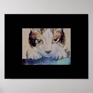 snowshoe winter solstice kitty poster