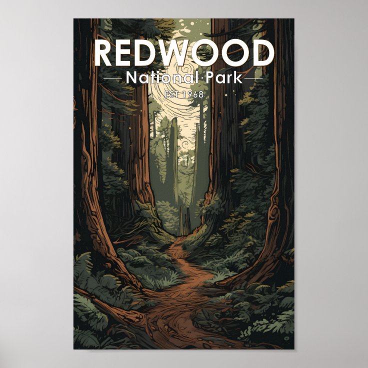 Redwood National Park Illustration Trail Vintage Poster (Front)
