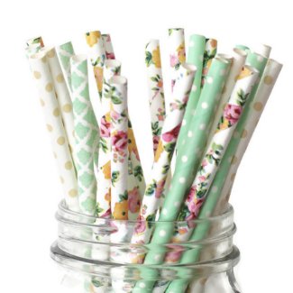 25pk of Green & Floral Patterned Paper Straws