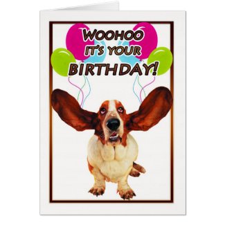 basset hound birthday card - woohoo it's your birt