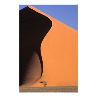 Africa, Namibia, Evening light on dunes, Photo Print