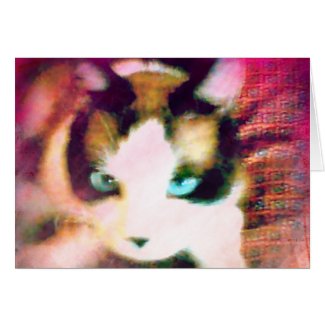 Snowshoe Turquoise Eyed Kitty Card