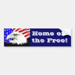 Bald Eagle and American Flag Bumper Sticker