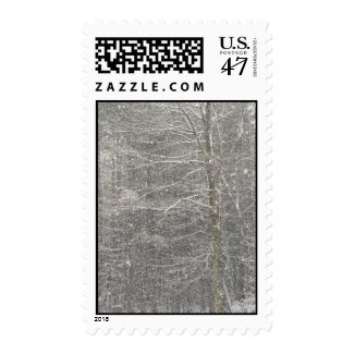Snow Falling Postage Stamp
