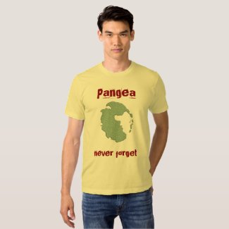 Pangea... T-shirt