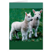 Sven & Ole Card (Front)