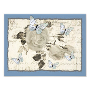 SW Rose and butterflies Photo Print