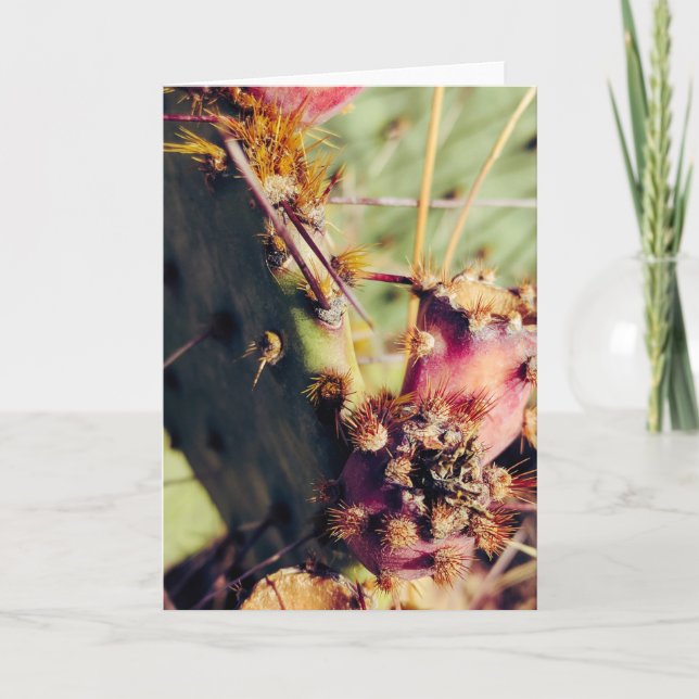 SW Textures Title Frame Card (Front)