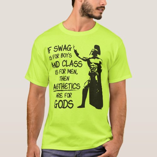Swag and Class vs Aeshetics T_Shirt