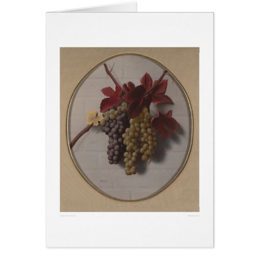 Swag of Grapes (1363) Cards (Front)