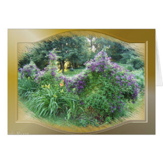 Swagged Clematis ~ card