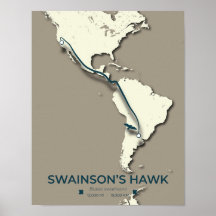 Swainson’s Hawk Migration Map – Minimalist Vintage