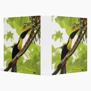 Swainson Toucan Exotic Bird 3 Ring Binder