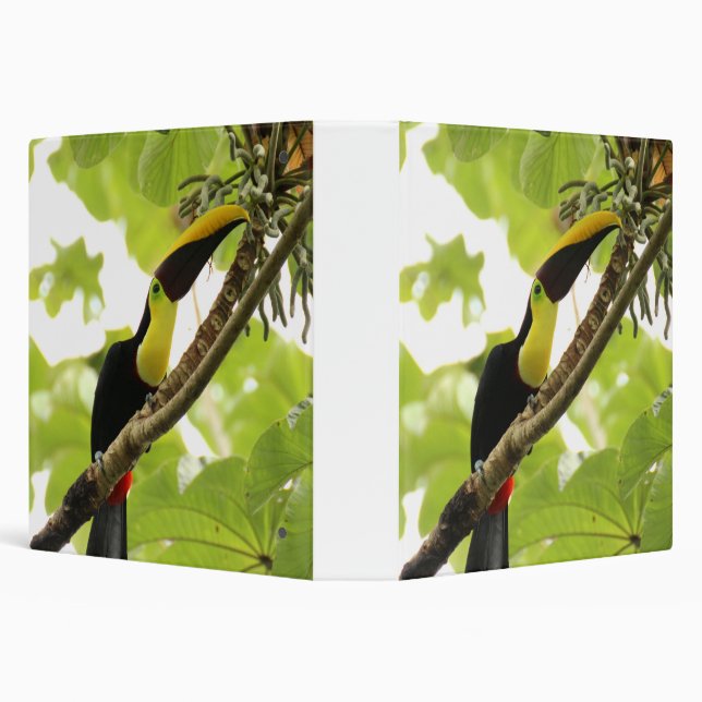 Swainson Toucan Exotic Bird 3 Ring Binder (Background)