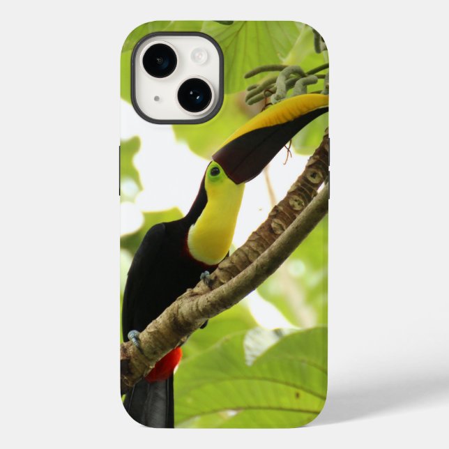 Swainson Toucan Exotic Bird Case-Mate iPhone Case (Back)