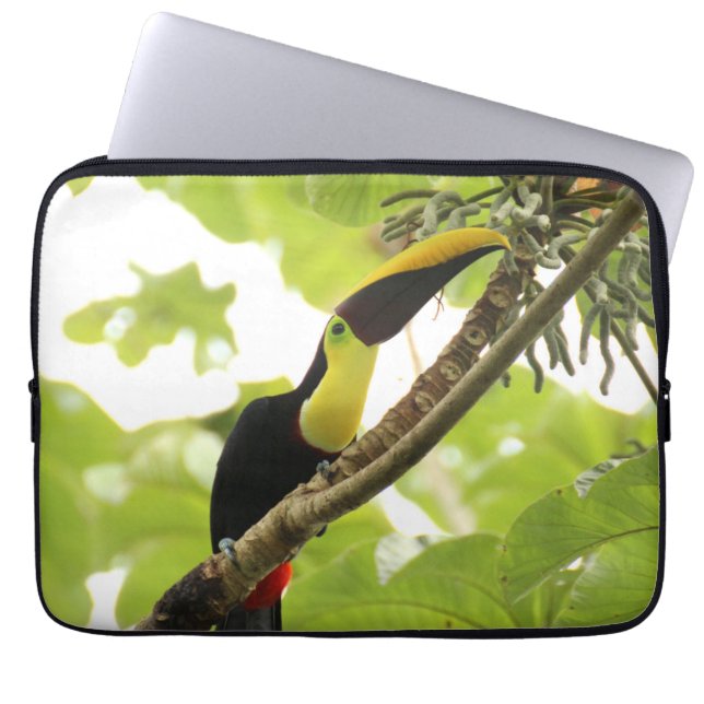 Swainson Toucan Exotic Bird Laptop Sleeve (Front)