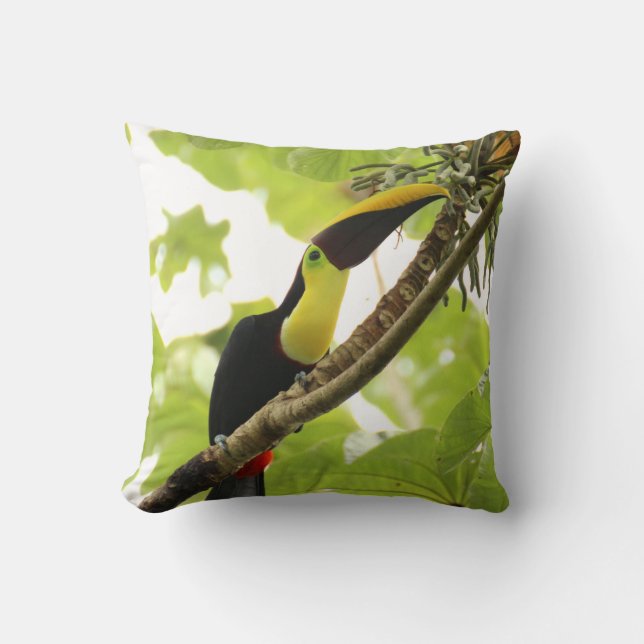 Swainson Toucan Exotic Bird Throw Pillow (Front)