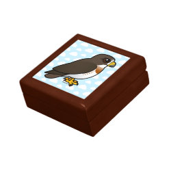 Swainson's Hawk Small Gift Box 5.125