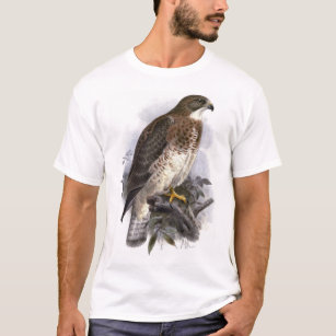 Swainson's Hawk, light phase, adult female T-Shirt