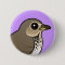 Swainson's Thrush Pinback Button