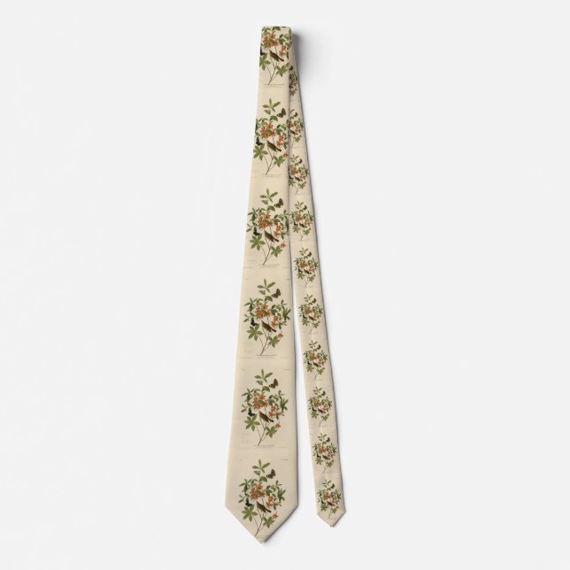 Swainson's Warbler from Audubon's Birds of America Neck Tie (Front)